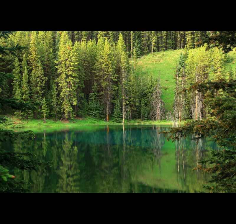 in the mood for green.jpg